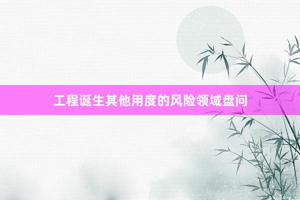 工程诞生其他用度的风险领域盘问