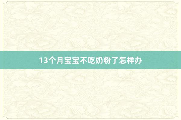 13个月宝宝不吃奶粉了怎样办